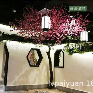 ���֘Ƿ����һ����c����ӭ���b��������������S���һ���