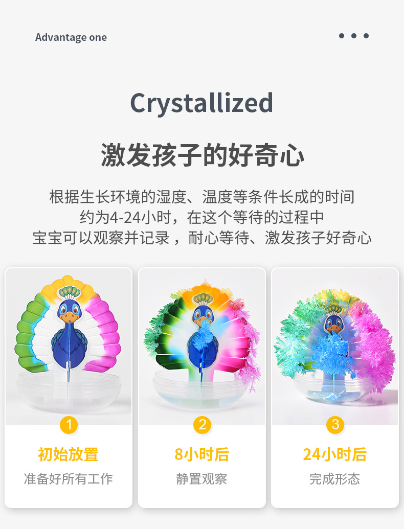 纸上开花详情_03