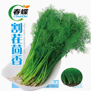 ���С����N������N�Ѳ˷N�Ѵ�ȫ�ļ��Ϸ��̨���������߲˷N��