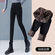Y9Z��Ʒ�|�ӽq�Ӻ�ţ��ѝŮ2023���ﶬ���¿������@�ݸ����ٴ��U