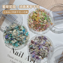 日式ins风美甲干花莫奈花园油画配色小花碎花混合diy材料指甲饰品