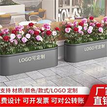 ���ⲻ�P����ʻ����̈������������νM�ϻ����Fˇ�Nֲ�۸��໨��