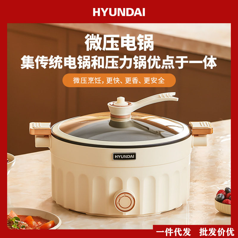 HYUNDAI multi-function Rice Cookers household Electric skillet Cooker 5L capacity Stew one