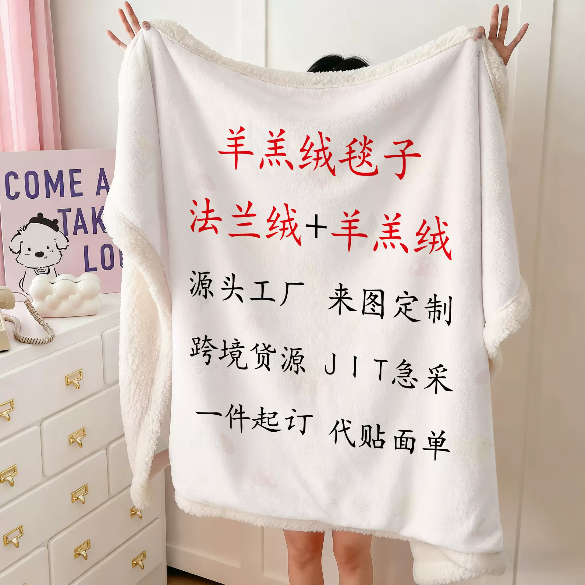 双层羊羔绒毛毯定制牛奶绒法兰绒加厚午休保暖盖毯子印花源头工厂