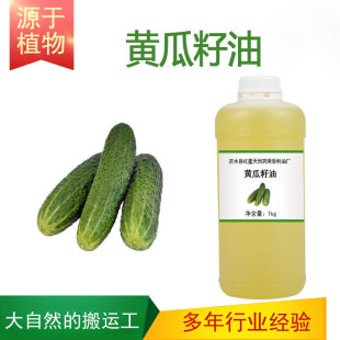 �S������ �S����  �o�w��Ħ���A�� ֲ����