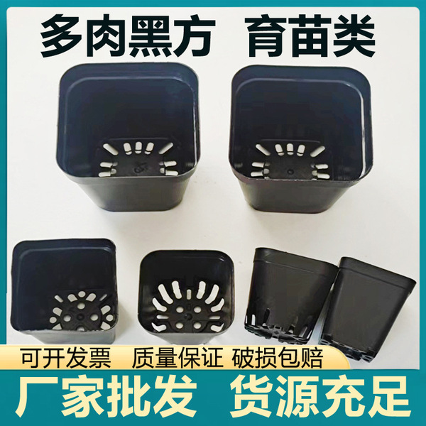Multisani seedling pot small black side 5.5 square style of black…