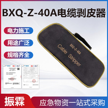 BXQ-Z-40A��|��Ƥ�������^�����ߵ͉���Ƥ���ք�ʽ��|������