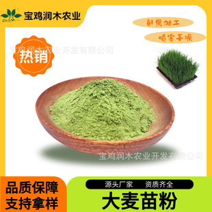 �S�����l���������֭�۴����ݷ����F���w��ϵ�ԭ�ϝ�ľ���w���