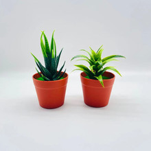 �������� ����������J�C���m�������辰�ٻ��������컨�[���羳