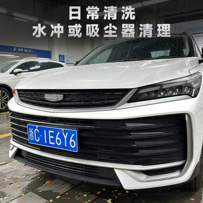 25 types of Binyue L Automobile anti-insect net