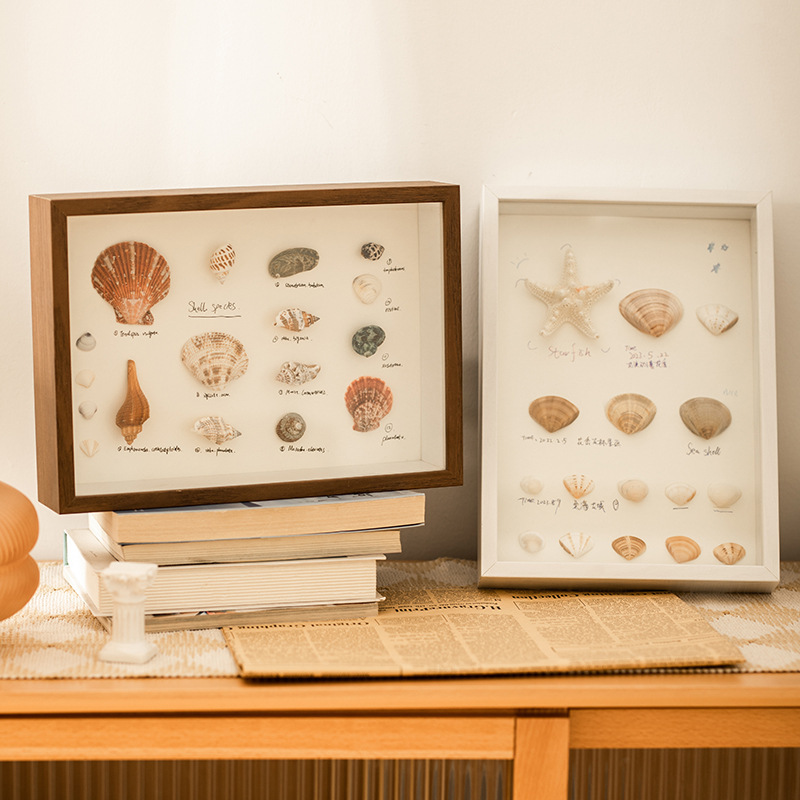 High-looking creative handmade shell painting Three-dimensional decorative photo frame plant specimen decoration 678-inch light painting wall hanging High-looking creative handmade shell painting Three-dimensional decorative photo frame plant specimen decoration 678-inch light painting wall hanging