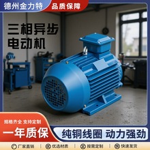 国标YE3三相异步电动机全铜380v2级0.75kw 1.1kw 30kw 90kw电机