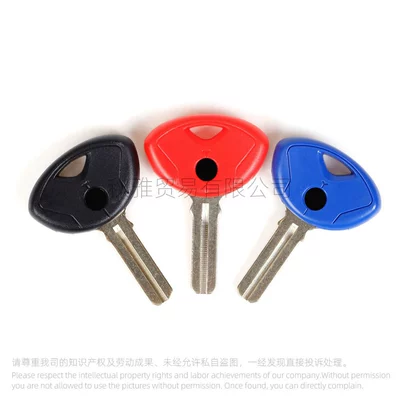 Imported Key Embryo, Motorcycle Key