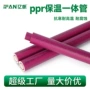 一体复合型太阳能防冻热水管