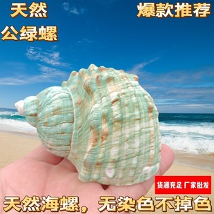 �G�V����Ȼؐ�����ݼľ�з��Q���~���쾰�b��ղؘ˱��[�����l