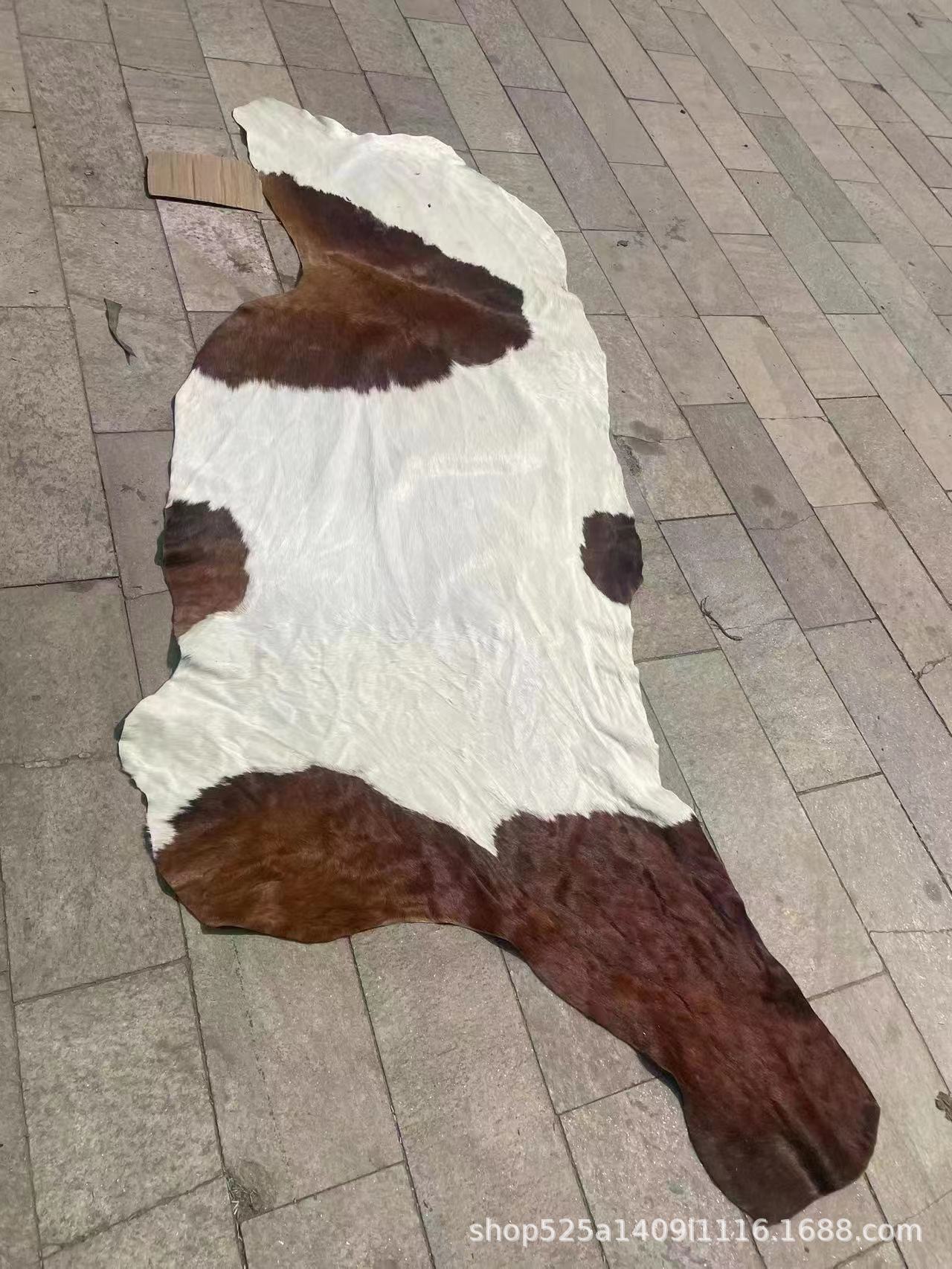 45819054e9fcceef42361b33c10293