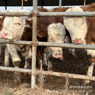 ���T����ţ��ľٝţ��ţ�� �Bֳ�����Rţ��ţ��r��� �F؛��ţ