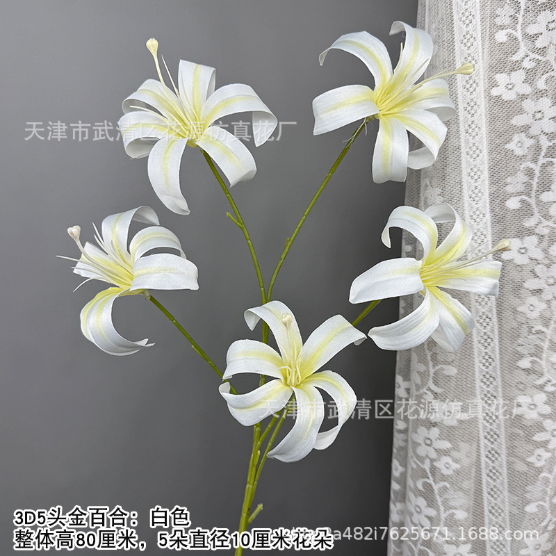 3D5 헤드 금 백합 - 화이트