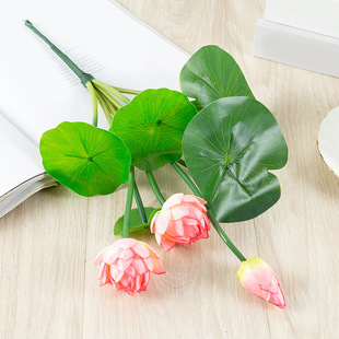 ���ҷ����֦�ɻ��Ҿ��bٻ�ˮ�潁��ɏ��ɏ�����~���羳˯ɏ