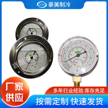 厂家供应瑞士REFCO数字压力表MR305MR205测量范围在-1-35MPa高压