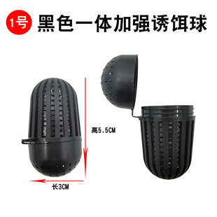 �T�D�� �~�D�� �D���� �������� �O�W�O���~�D �r�\