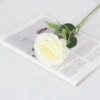 Yuanri silk cloth white
