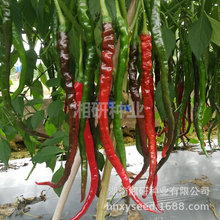 ���P�����С�������r���üs30���׾����N���߲����l