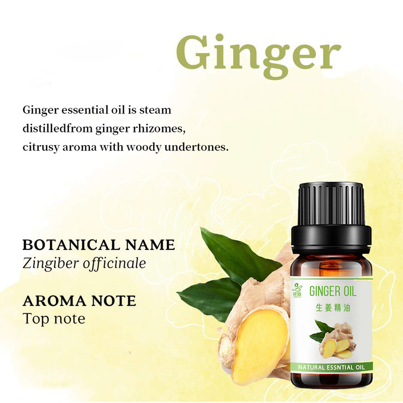 食品級片方生姜精油Gingerオイルマッサージエッセンシャルオイル全身発熱SPA掻爬マッサージ背中|undefined