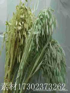 �ɻ�С�β��`���h�����Y��ˇ���յ���