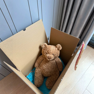 ���xJellycat�F؛���������������ƽ�������Rȫë�q������߿羳