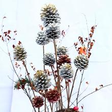 ɫɹɻUɹɏСJӻĔzb[