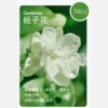 [Gardenia] A bottle of essential oil (no machine)