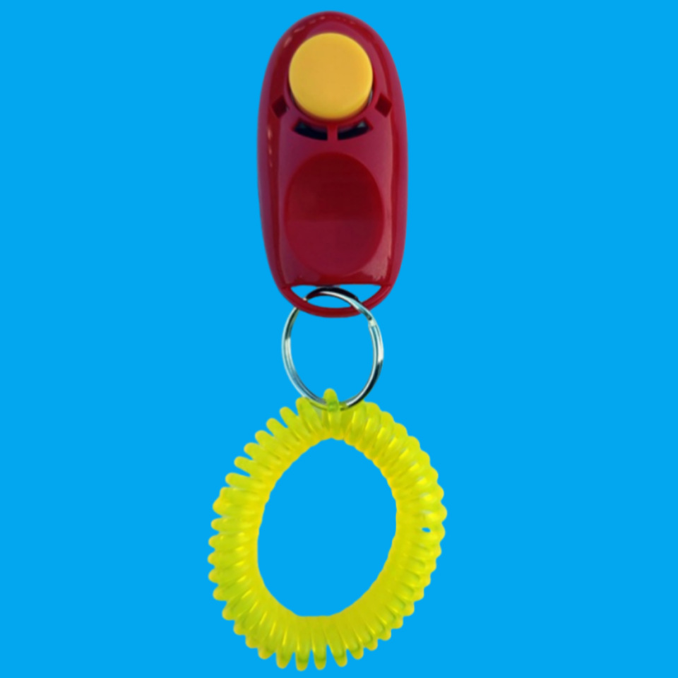 Entrenador de mascotas, contraseña sonora, pulsera, juguete para perros, artefacto mágico, entrenador de mascotas, juguete para perros