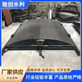 闸阀;启闭机;污水处理设备