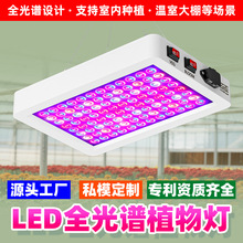 源头工厂LED植物生长补光灯全光谱室内瓜果蔬菜种植灯智能控制