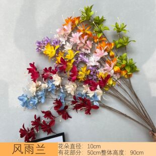 �羳���滨�L���m��c���l���b����߻���ӭ�e����·��