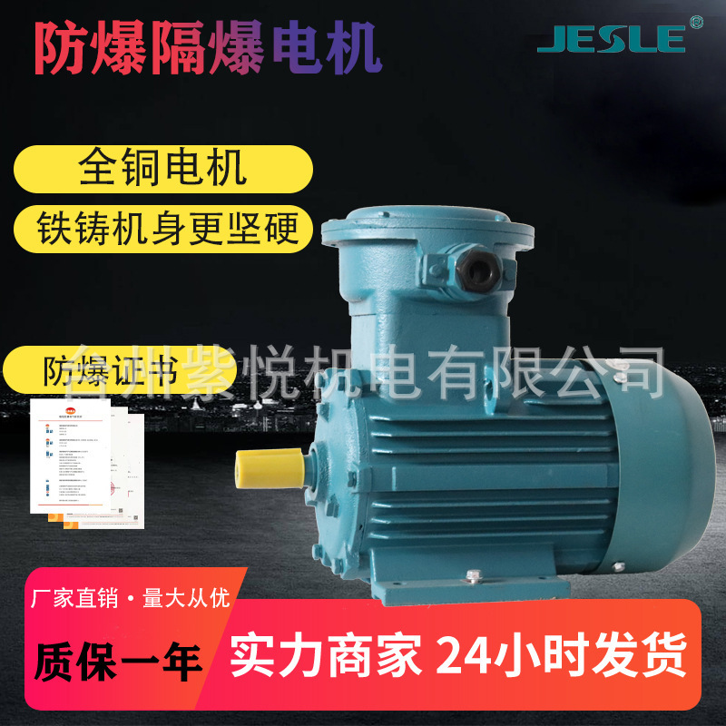 YB3隔爆型三相异步电动机YBX3-3.0KW防爆电机BT4卧式国标纯铜线
