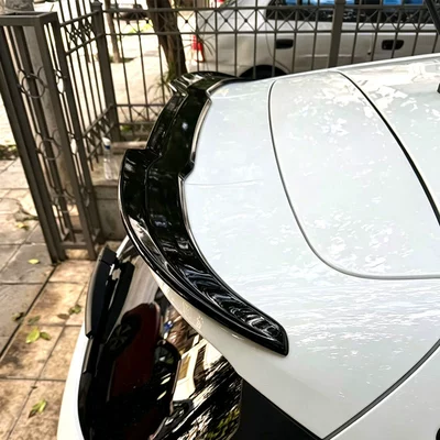 Fixed wind wing Fiesta MK8 ST/STline