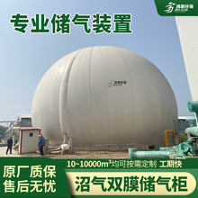 双膜储气柜养殖场200方双膜气柜锦爵沼气收集储存设备养殖场专用