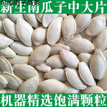 ؛Ϲ5b 21 x ԹʳϹ