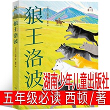 �����岨 ���������ͯ������ ���꼶�ض������� ��Ӣ������/����