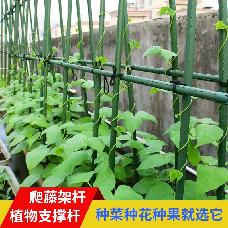 Поля для восхождения из ротанга наружная пластиковая стальная труба двор виноградная полка огурец фасоль цветы