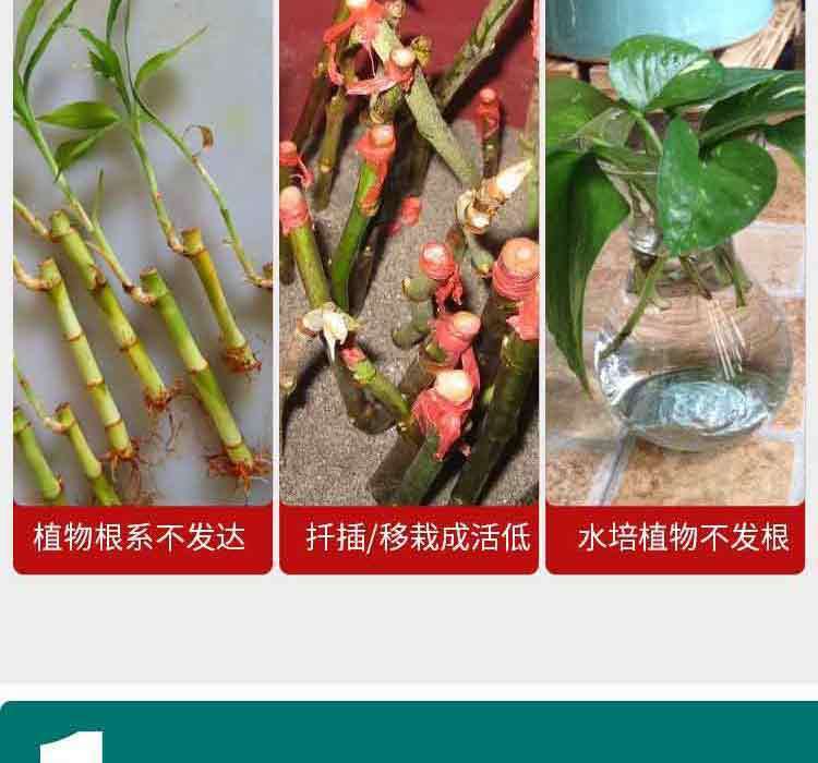 fddb7856-19e0-4183-8a6b-b4f3d62f8208.jpe