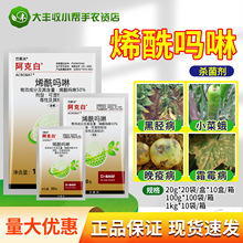 ˹򰢿˰ 50%ϩS˪ù߲rș