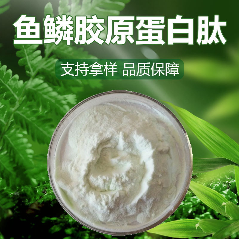 Fish Scale Collagen Peptides Collagen Peptides Fish Scale Protein Peptides Biological Enzymatic Digestion Technology Raw Material Wholesale Fish Scale Collagen Peptides Collagen Peptides Fish Scale Protein Peptides Biological Enzymatic Digestion Technology Raw Material Wholesale