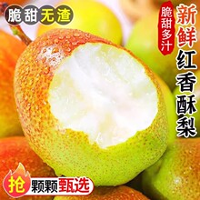 �½��젖������10�����rˮ������ȫĸ���������ѩ���خa��S����