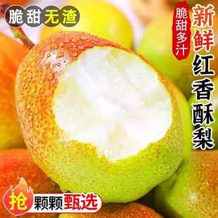 �½��젖������10�����rˮ������ȫĸ���������ѩ���خa��S����