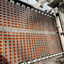 糖果机械 双排软糖浇注生产线 全自动糖果成型设备合强明胶软糖机