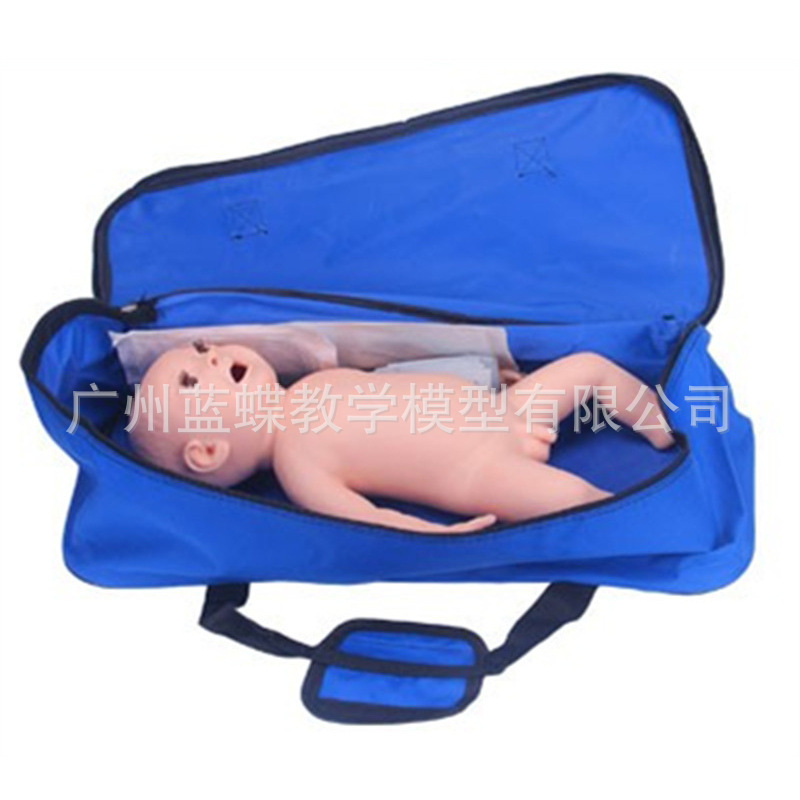 Ӥ���ķθ���ģ���� ҽѧ����ѵ�� ����ģ�� С�����ܲ��ģ����