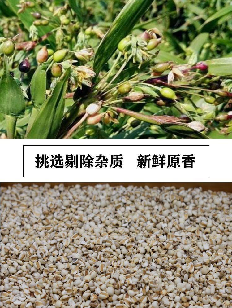 Coix Seed Broken Rice Yi Yi Ren 2500g Family Value Pack for Soy Milk and Congee Cooking specifications